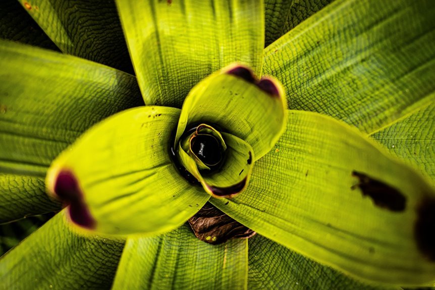 capture clarity in darkness